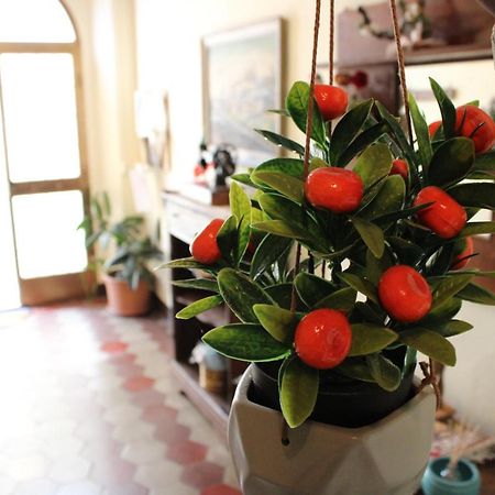 Casa Vacanze Da Mari Poggio  Zewnętrze zdjęcie