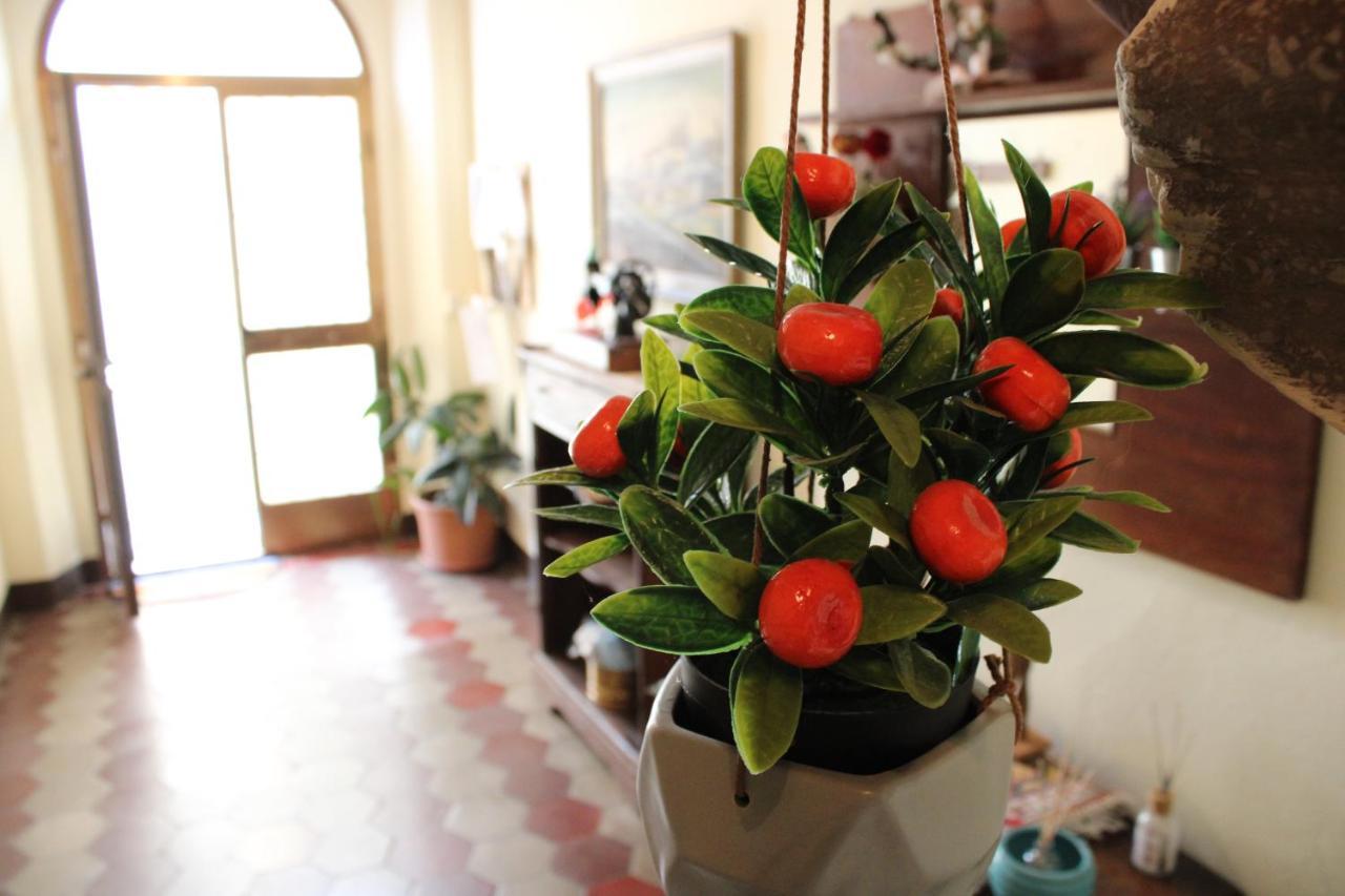 Casa Vacanze Da Mari Poggio  Zewnętrze zdjęcie