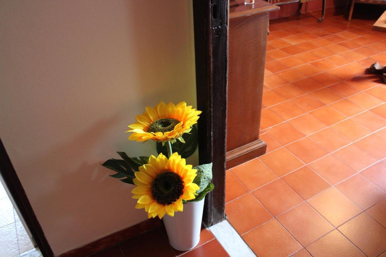 Casa Vacanze Da Mari Poggio  Zewnętrze zdjęcie